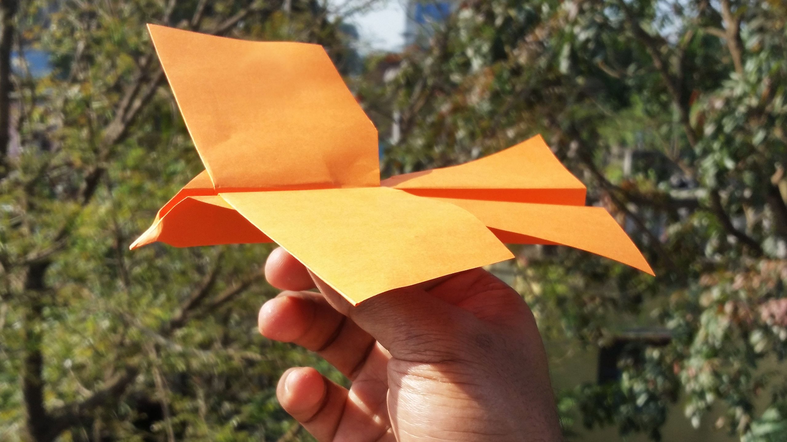 eagle-paper-plane-making-easy-tutorial-link-in-comment