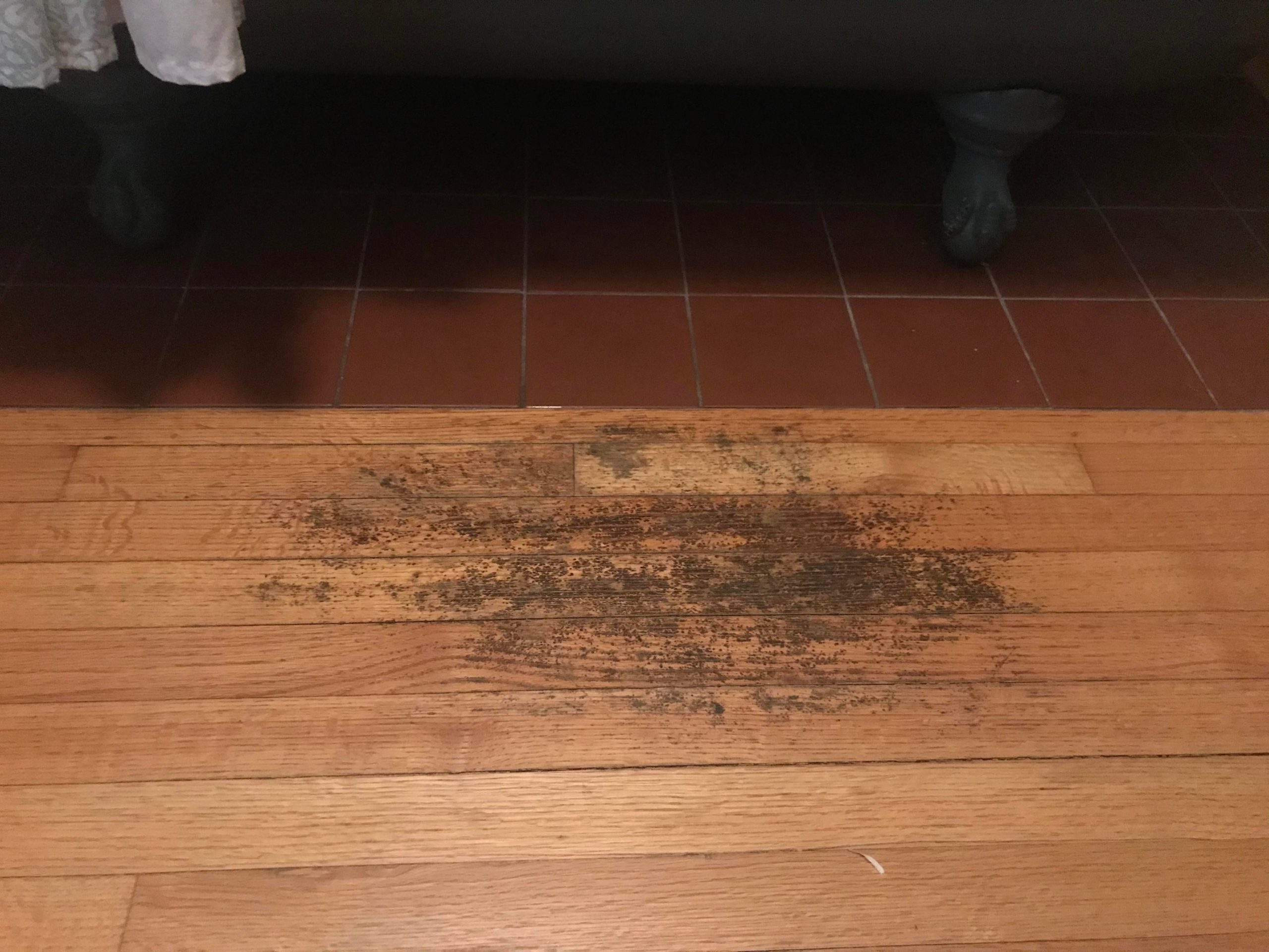 what-is-the-best-way-to-clean-water-damaged-wood-flooring