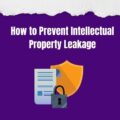 How to Prevent Intellectual Property Leakage