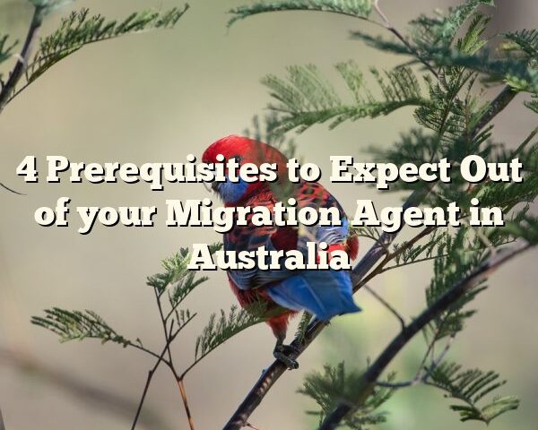 4 Prerequisites to Expect Out of your Migration Agent in Australia