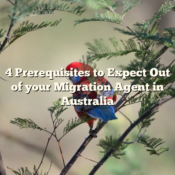 4 Prerequisites to Expect Out of your Migration Agent in Australia