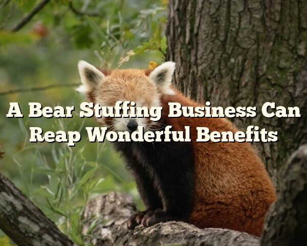 A Bear Stuffing Business Can Reap Wonderful Benefits