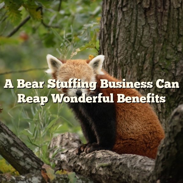 A Bear Stuffing Business Can Reap Wonderful Benefits