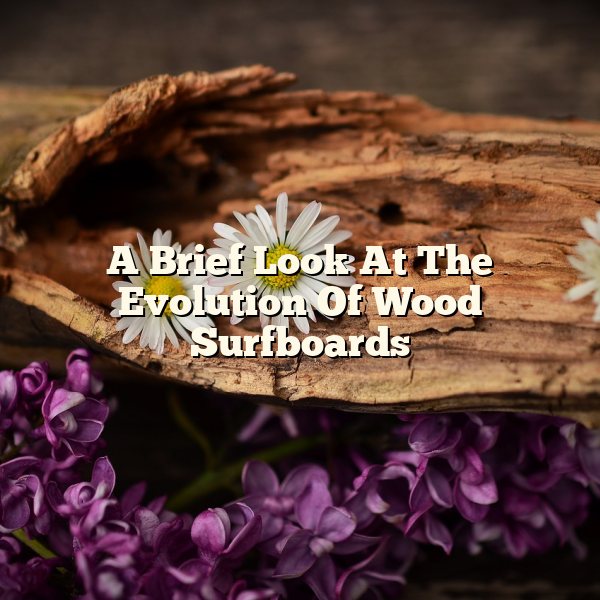 A Brief Look At The Evolution Of Wood Surfboards