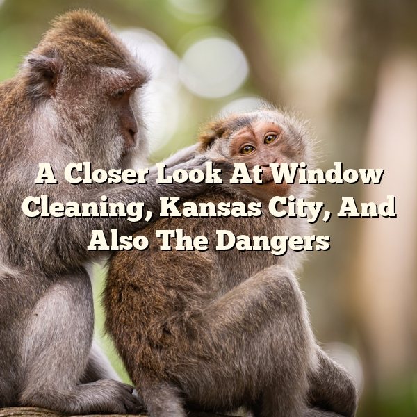 A Closer Look At Window Cleaning, Kansas City, And Also The Dangers