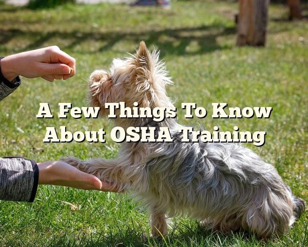 A Few Things To Know About OSHA Training