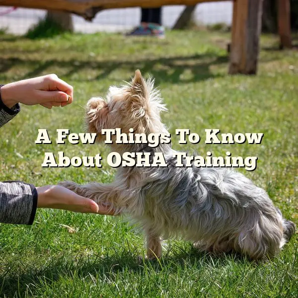 A Few Things To Know About OSHA Training