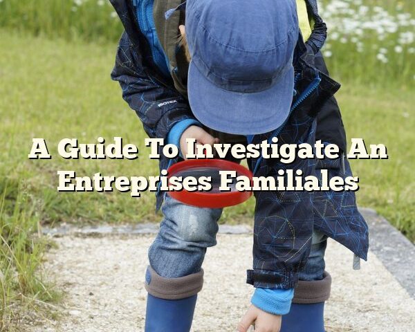 A Guide To Investigate An Entreprises Familiales