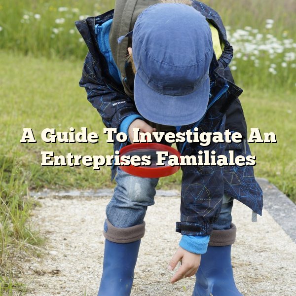 A Guide To Investigate An Entreprises Familiales