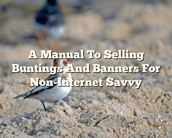 A Manual To Selling Buntings And Banners For Non-Internet Savvy