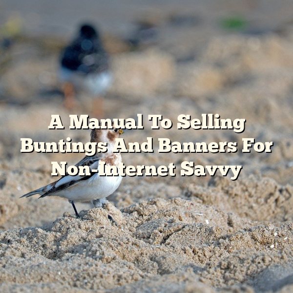 A Manual To Selling Buntings And Banners For Non-Internet Savvy