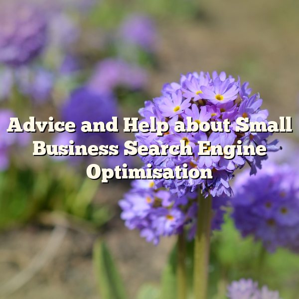 Advice and Help about Small Business Search Engine Optimisation