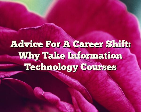 Advice For A Career Shift: Why Take Information Technology Courses