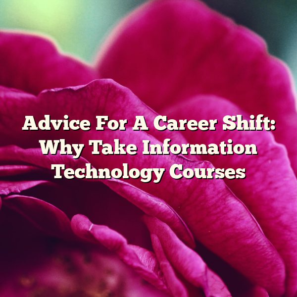 Advice For A Career Shift: Why Take Information Technology Courses