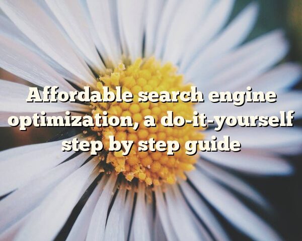 Affordable search engine optimization, a do-it-yourself step by step guide