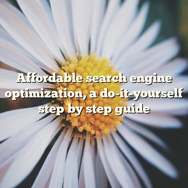 Affordable search engine optimization, a do-it-yourself step by step guide