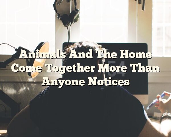 Animals And The Home Come Together More Than Anyone Notices