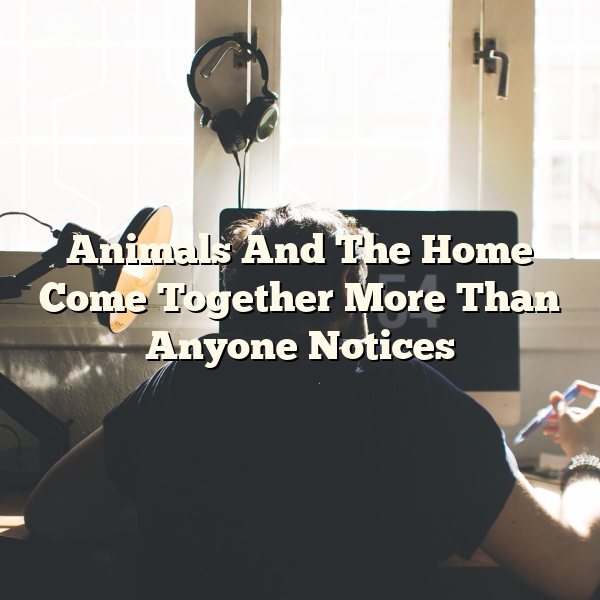 Animals And The Home Come Together More Than Anyone Notices