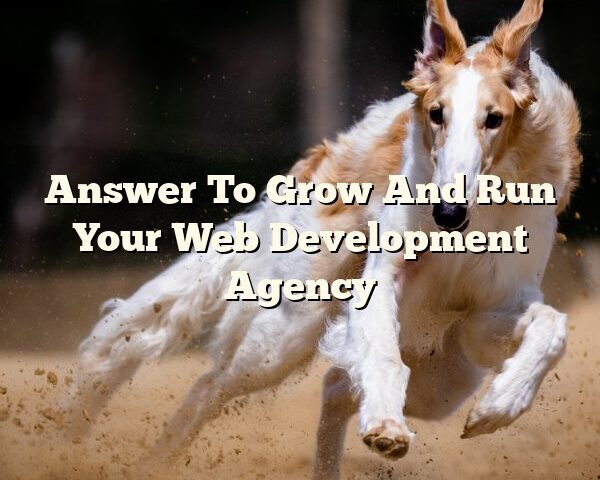 Answer To Grow And Run Your Web Development Agency