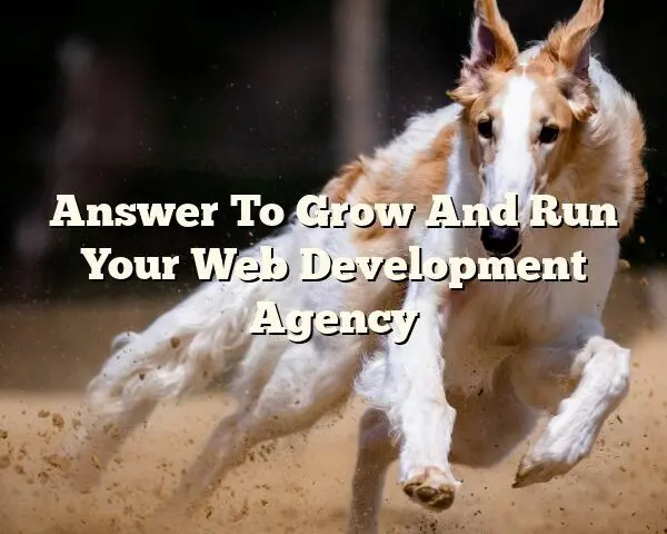 Answer To Grow And Run Your Web Development Agency