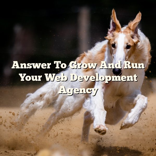 Answer To Grow And Run Your Web Development Agency