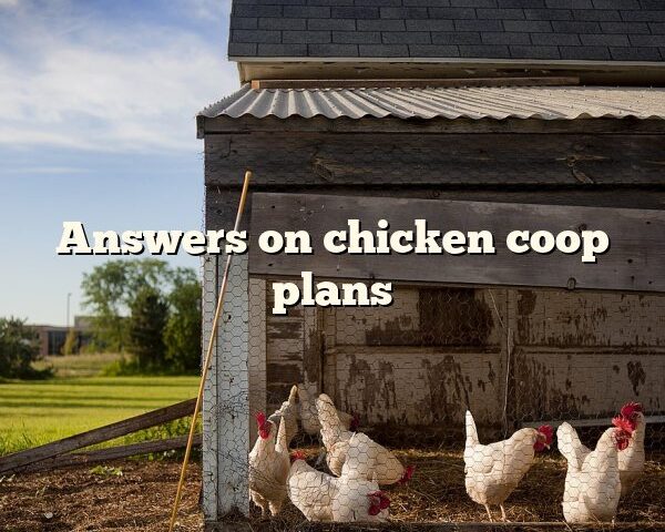 Answers on chicken coop plans