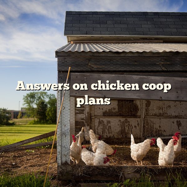 Answers on chicken coop plans