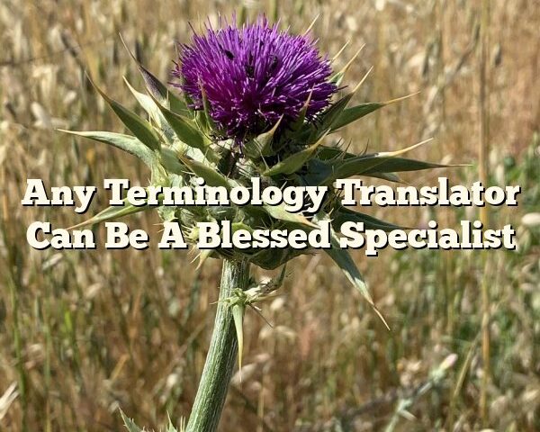 Any Terminology Translator Can Be A Blessed Specialist