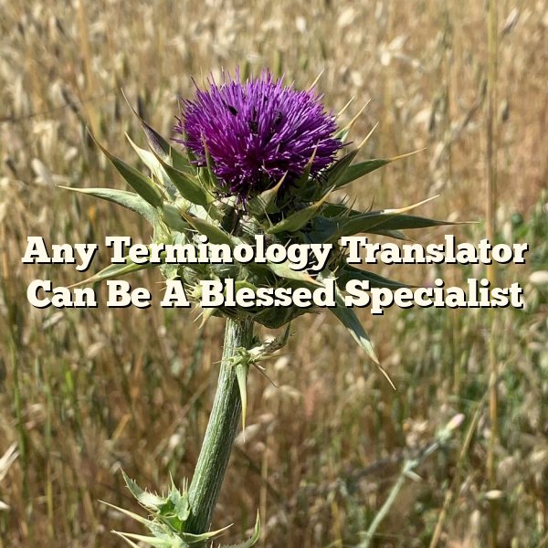 Any Terminology Translator Can Be A Blessed Specialist