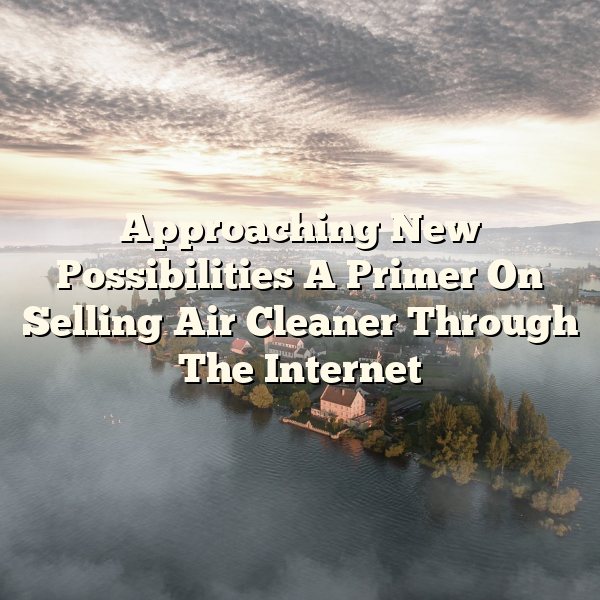 Approaching New Possibilities A Primer On Selling Air Cleaner Through The Internet