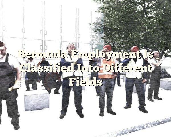 Bermuda Employment Is Classified Into Different Fields