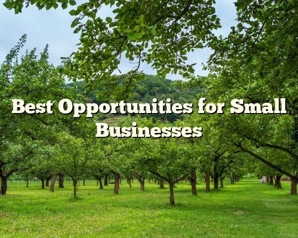 Best Opportunities for Small Businesses