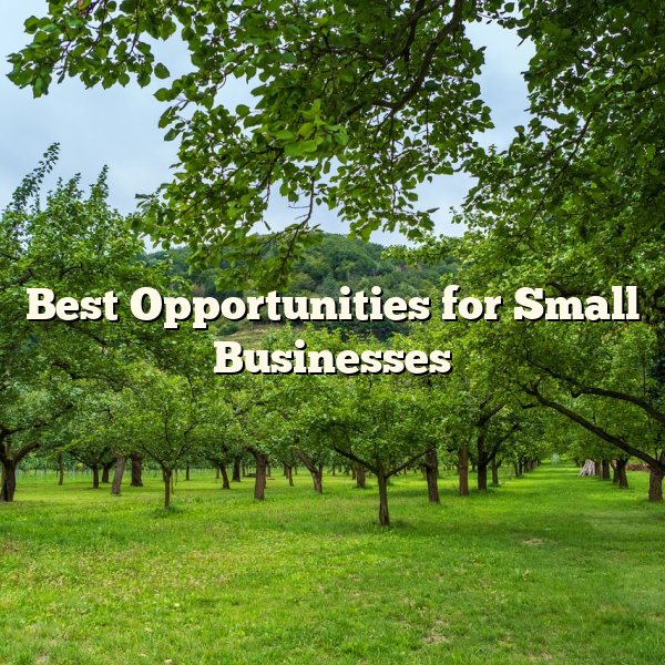 Best Opportunities for Small Businesses