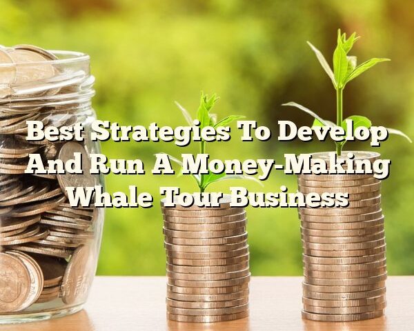 Best Strategies To Develop And Run A Money-Making Whale Tour Business