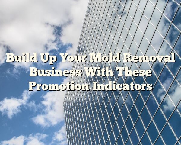 Build Up Your Mold Removal Business With These Promotion Indicators