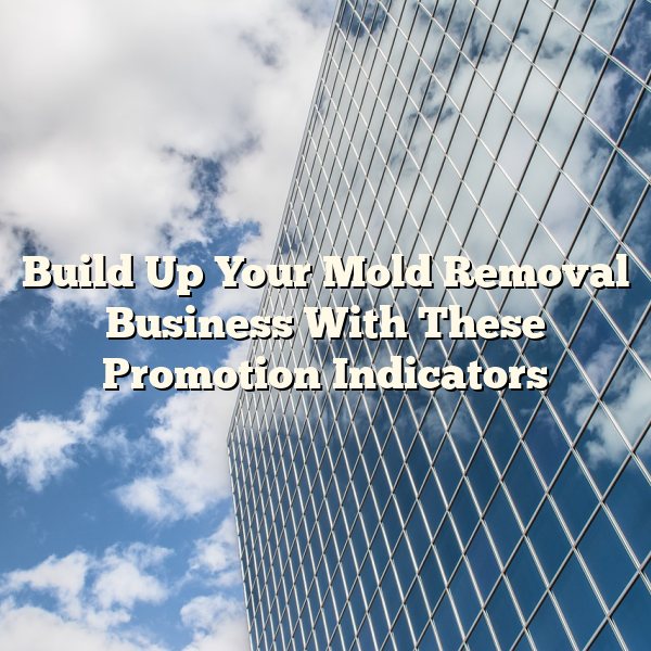 Build Up Your Mold Removal Business With These Promotion Indicators