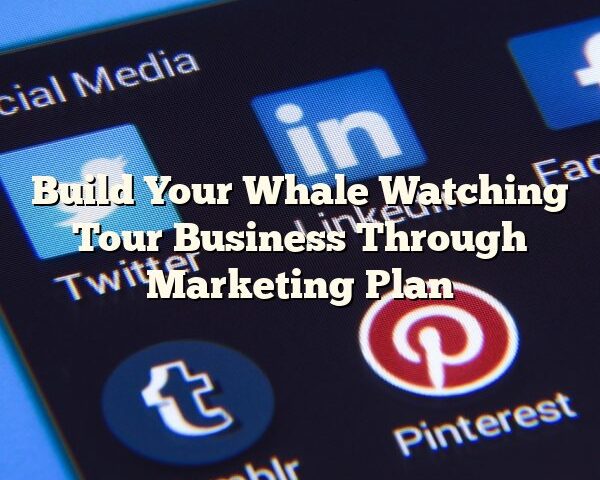 Build Your Whale Watching Tour Business Through Marketing Plan