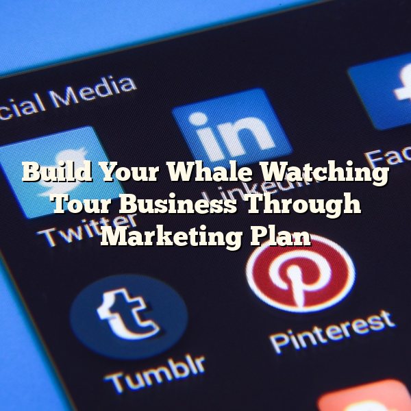 Build Your Whale Watching Tour Business Through Marketing Plan