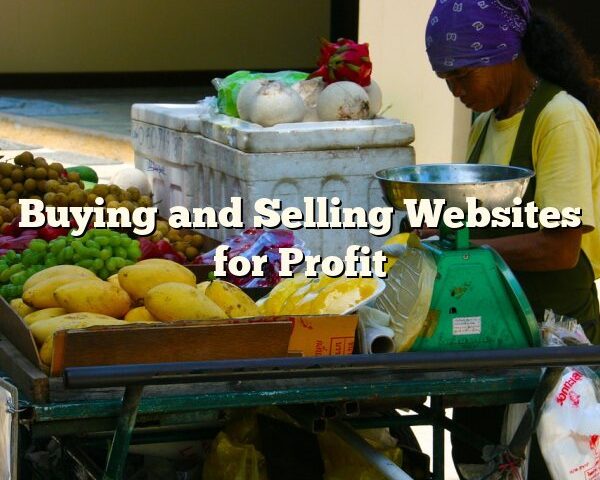 Buying and Selling Websites for Profit