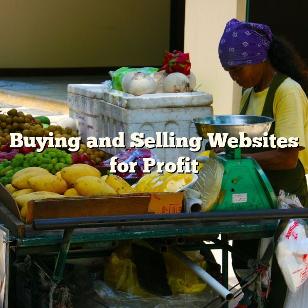 Buying and Selling Websites for Profit