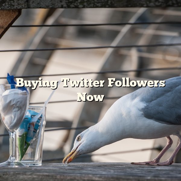 Buying Twitter Followers Now