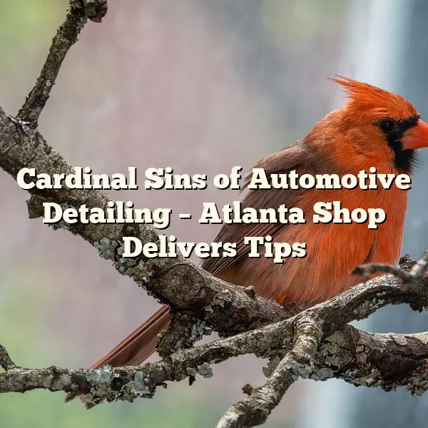 Cardinal Sins of Automotive Detailing – Atlanta Shop Delivers Tips