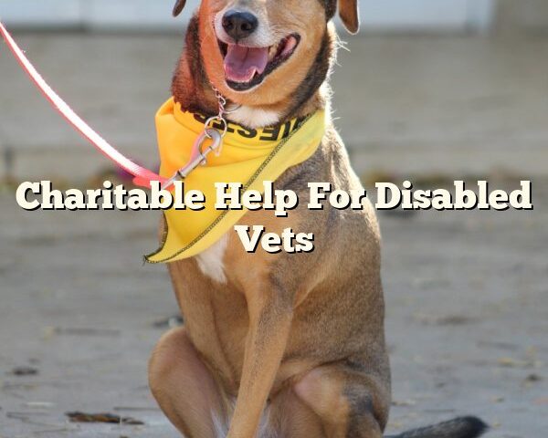 Charitable Help For Disabled Vets