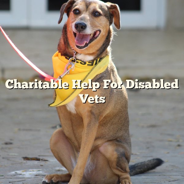 Charitable Help For Disabled Vets