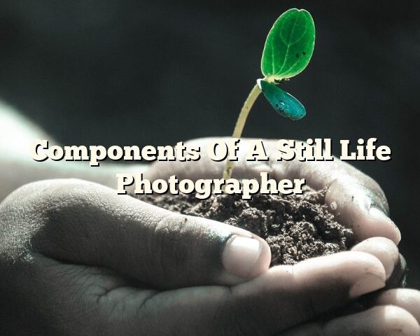 Components Of A Still Life Photographer