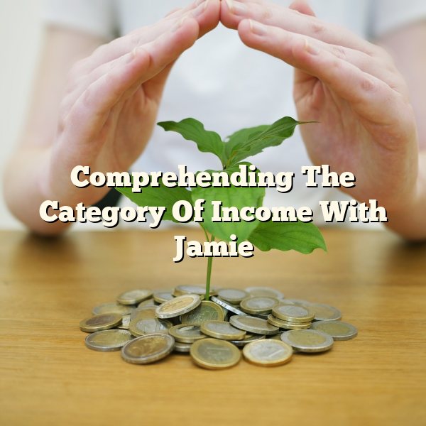 Comprehending The Category Of Income With Jamie