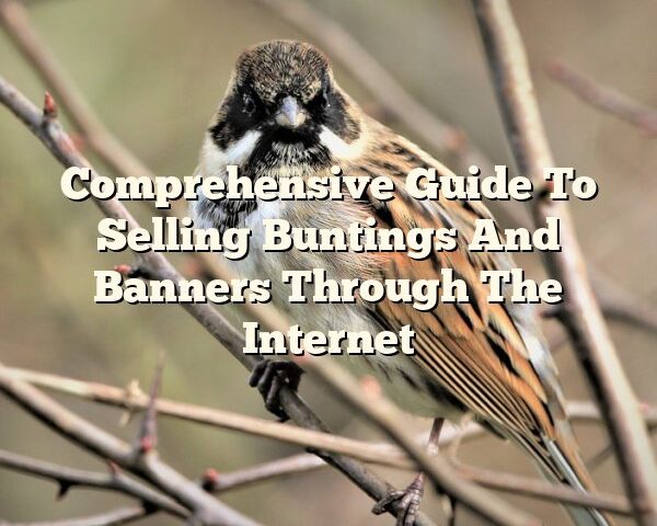 Comprehensive Guide To Selling Buntings And Banners Through The Internet