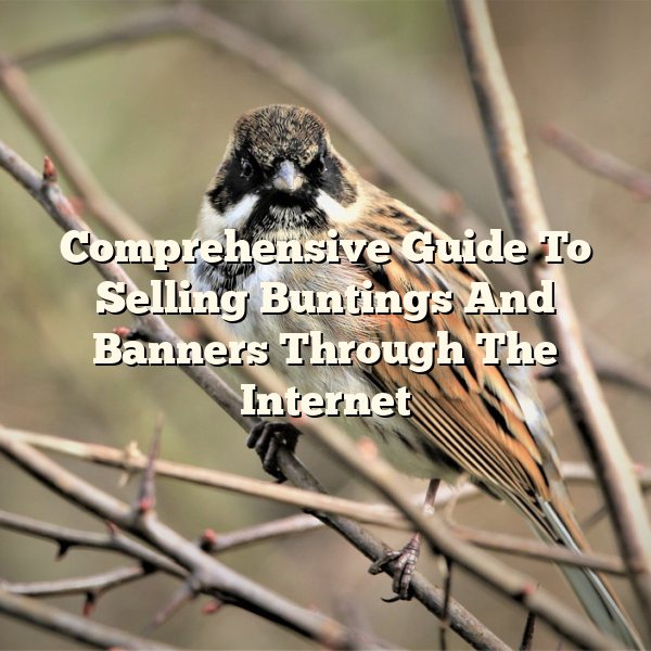 Comprehensive Guide To Selling Buntings And Banners Through The Internet