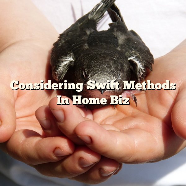 Considering Swift Methods In Home Biz