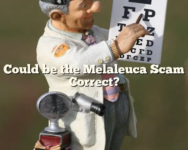 Could be the Melaleuca Scam Correct?
